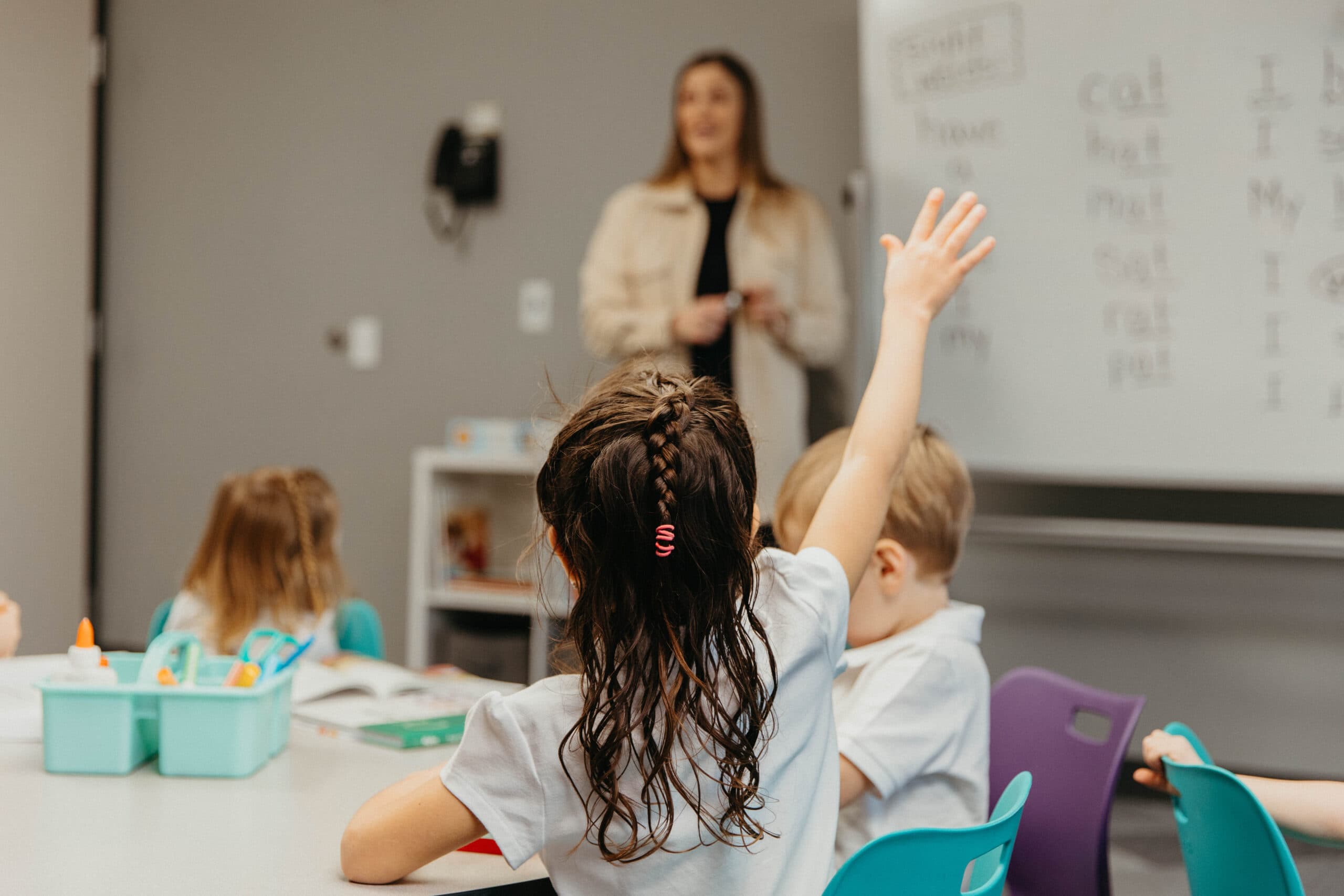 Students learning in the classroom